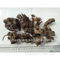 Dried Black cohosh,Cimicifugae racemosa,Actaea,Largetrifoliolious Bugbane,Snakeroot,Rattle top,Rattle root,Sheng ma,Shengma